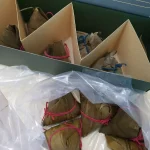 [Joo Chiat Kim Choo] Rice Dumpling - Must-Buy Bundle of 10 photo review